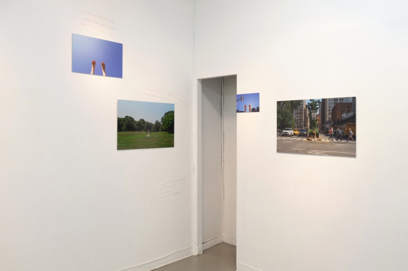 《 If I could stand in the sky... 》王俞晴紐約個展計畫 ｜王俞晴｜國藝會補助成果檔案庫